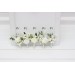  
Select boutonniere, corsage: Boutonniere #1
Select boutonniere, corsage: Boutonniere #2
Select boutonniere, corsage: Boutonniere #3
Select boutonniere, corsage: Boutonniere #4
Select boutonniere, corsage: Boutonniere #5