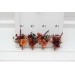  
Select boutonniere, corsage: Boutonniere #1
Select boutonniere, corsage: Boutonniere #2
Select boutonniere, corsage: Boutonniere #3
Select boutonniere, corsage: Boutonniere #4