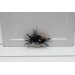  
Select size/color of comb: Mini