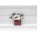  
Select boutonniere, corsage: White boutoniere