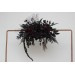  
Select arch flowers: 30"