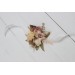  
Select boutonniere, corsage: Corsage