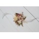 Corsage =25.00 USD