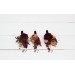  
Select boutonniere, corsage: Boutonniere #1
Select boutonniere, corsage: Boutonniere #2
Select boutonniere, corsage: Boutonniere #3