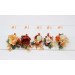  
Select boutonniere, corsage: Boutonniere #1
Select boutonniere, corsage: Boutonniere #2
Select boutonniere, corsage: Boutonniere #3
Select boutonniere, corsage: Boutonniere #4
Select boutonniere, corsage: Boutonniere #5