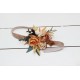 Corsage =25.00 USD