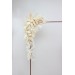  
Select arch flowers: #1