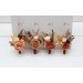  
Select boutonniere, corsage: Boutonniere #1
Select boutonniere, corsage: Boutonniere #2
Select boutonniere, corsage: Boutonniere #3
Select boutonniere, corsage: Boutonniere #4