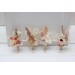  
Select boutonniere, corsage: Boutonniere #1
Select boutonniere, corsage: Boutonniere #2
Select boutonniere, corsage: Boutonniere #3
Select boutonniere, corsage: Boutonniere #4