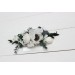 Flower comb in white color scheme. Wedding accessories for hair. Bridal flower comb. Bridesmaid floral comb. 5013