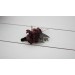 Wedding Boutonniere & Wrist Corsage in Purple, Burgundy, Beige & Black | Faux Flower Accessories