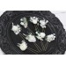 Set of 8 hair pins in  white color scheme. Hair accessories. Flower accessories for wedding. 5021