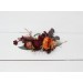 Flower combs in burgundy rust ivory cinnamon color scheme. Wedding accessories for hair. Bridal flower comb. Bridesmaid floral comb 0039