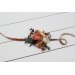  Wedding boutonnieres and wrist corsage  in terracotta rust peach color scheme. Flower accessories. 5040