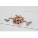 Wedding boutonnieres and wrist corsage  in beige pale orange color scheme. Flower accessories. 5045