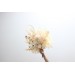 Wedding bouquets in champagne ivory cream colors. Bridal bouquet. Faux bouquet. Bridesmaid bouquet. 5206