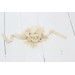 Wedding Boutonnieres & Wrist Corsage in Champagne, Ivory & Cream | Faux Flower Accessories