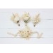 Wedding Boutonnieres & Wrist Corsage in Champagne, Ivory & Cream | Faux Flower Accessories