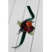  Wedding boutonnieres and wrist corsage  in emerald green orange purple color scheme. Flower accessories. 5052