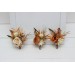  Wedding boutonnieres and wrist corsage  in rust ivory color scheme. Flower accessories. 5072
