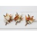  Wedding boutonnieres and wrist corsage  in rust ivory color scheme. Flower accessories. 5072