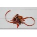 Wedding Boutonnieres & Wrist Corsage in Rust, Orange & Purple | Faux Flower Accessories