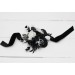 Wedding boutonnieres and wrist corsage in black and white color scheme. Flower accessories. 5086
