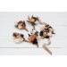  Wedding boutonnieres and wrist corsage  in deep purple terracotta beige color scheme. Flower accessories. 5095