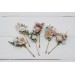  Set of 6 hair pins in white blush pink color scheme. Hair accessories. Flower accessories for wedding.  0048