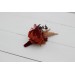  Wedding boutonnieres and wrist corsage  in burnt orange red burgundy  color scheme. Flower accessories. 5103-1