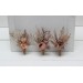  Wedding boutonnieres and wrist corsage  in terracotta dusty rose beige color scheme. Flower accessories. 5102