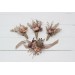  Wedding boutonnieres and wrist corsage  in terracotta dusty rose beige color scheme. Flower accessories. 5102