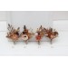  Wedding boutonnieres and wrist corsage  in cinnamon terracotta beige color scheme. Flower accessories. 5118