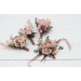 Wedding Boutonnieres & Wrist Corsage in Dusty Rose & Blush Pink | Faux Flower Accessories