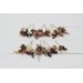 Set of bobby pins. Beige brown ivory flowers. Fall wedding. Boho wedding. Hair flowers. 5172