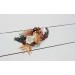 Flower comb in rust brown ivory color scheme. Wedding accessories for hair. Bridal flower comb. Bridesmaid floral comb. 0019
