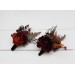  Wedding boutonnieres and wrist corsage  in rust burgundy cinnamon color theme. Flower accessories.0022 