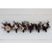  Wedding boutonnieres and wrist corsage  in purple black gold beige color theme. Flower accessories. BLACK