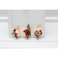 Wedding boutonnieres and wrist corsage in terracotta brown creamcolor scheme. Flower accessories. 5100