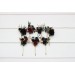 Set of 7 hair pins in black burgundy gold color scheme. Hair accessories. Flower accessories for wedding. 5305