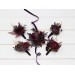 Wedding Boutonnieres & Wrist Corsage in Purple, Burgundy & Gold | Faux Flower Accessories