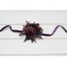 Wedding Boutonnieres & Wrist Corsage in Purple, Burgundy & Gold | Faux Flower Accessories