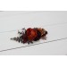 Flower comb in rust burgundy cinnamon color scheme. Wedding accessories for hair. Bridal flower comb. Bridesmaid floral comb. 0022 EU UK