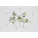 Set of 5 Hair Pins in White, Ivory & Cream | Wedding Flower Accessories