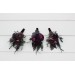 Black, Purple & Magenta Wedding Boutonnieres & Wrist Corsages | Bold Floral Accessories