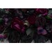 Purple, Black, Magenta & Green Floral Arrangement for Halloween or Gothic Wedding | Archway Decor