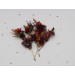 Burgundy, Purple & Rust Hair Pins – Set of 7 Faux Floral Wedding Accessories